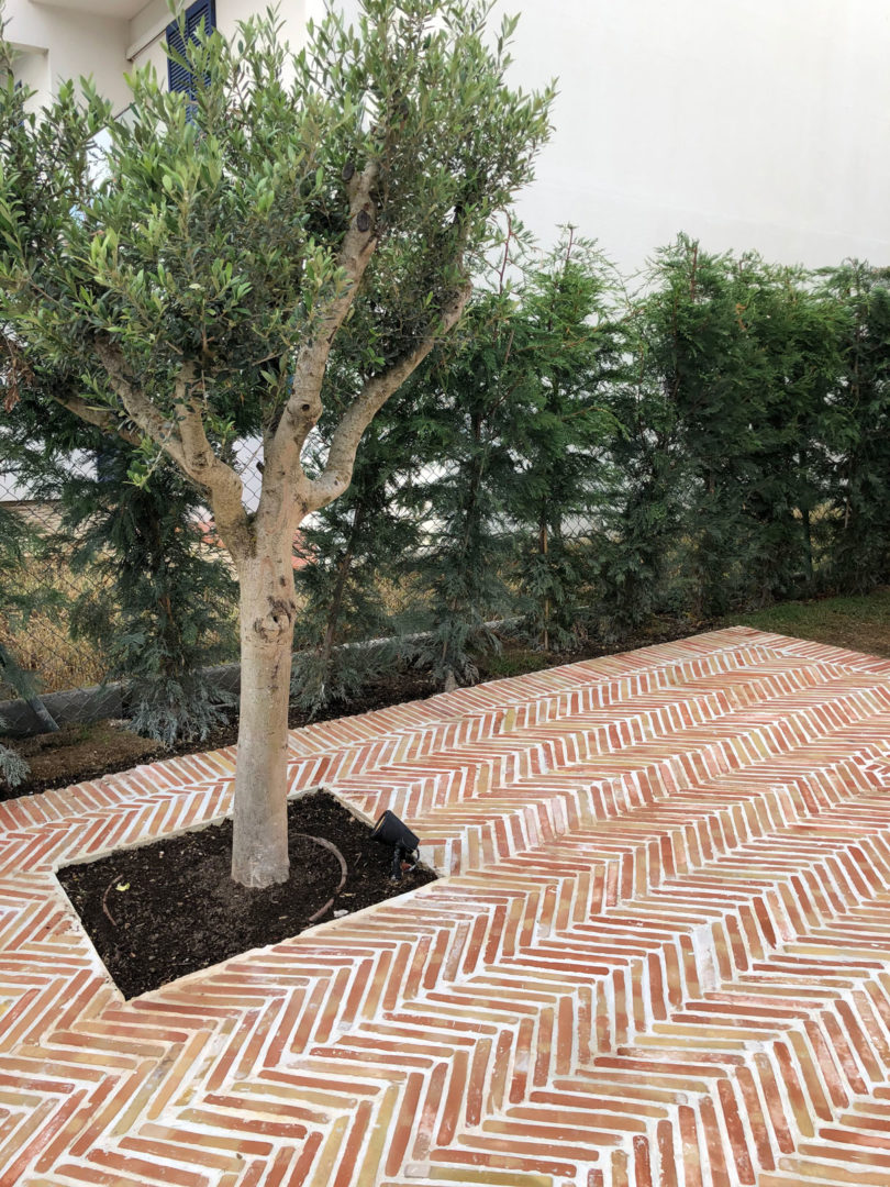 Proyecto Casa Pals 9